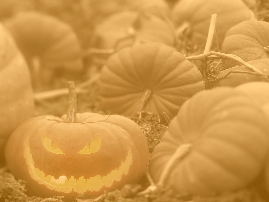 Злая тыква обои