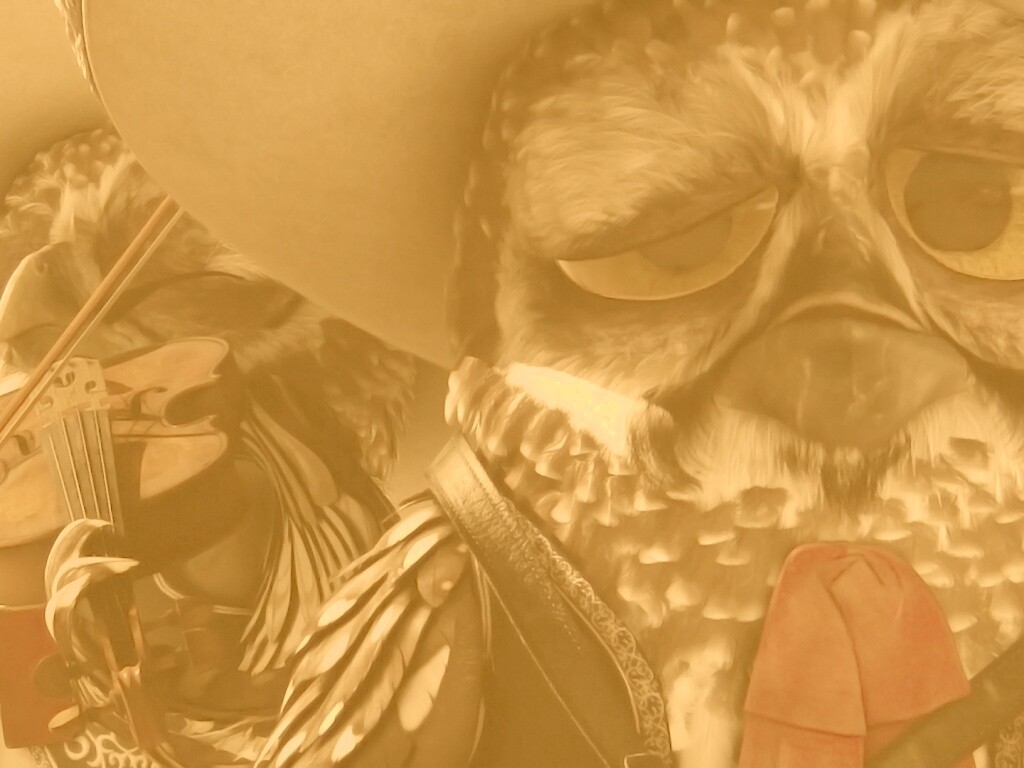 Совы-мариачи из Ранго обои