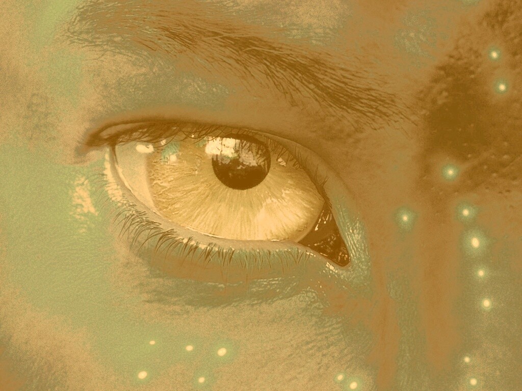 Смотрит прямо в душу обои