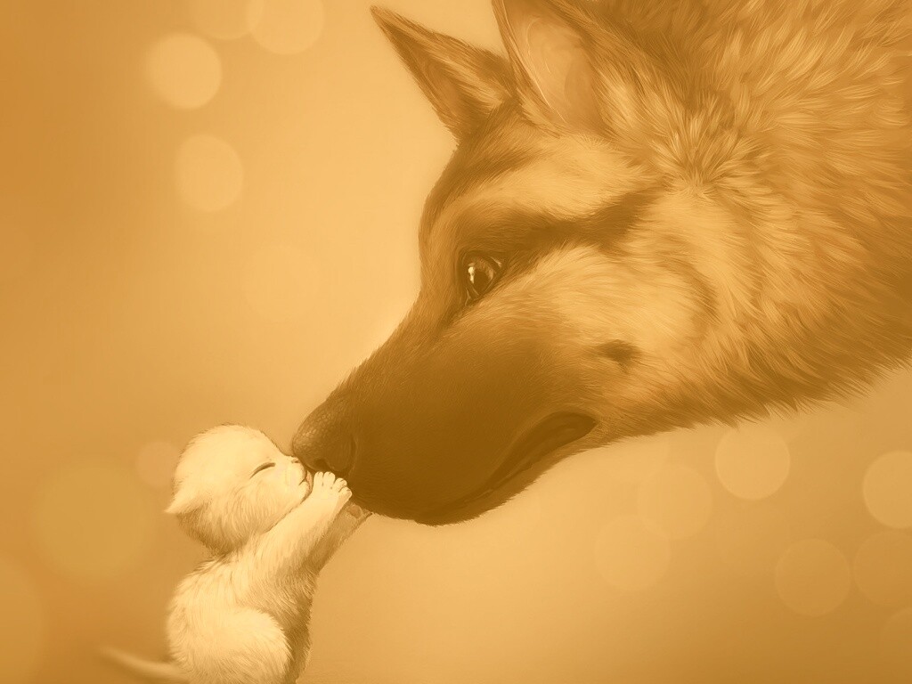 Овчарка и котенок обои