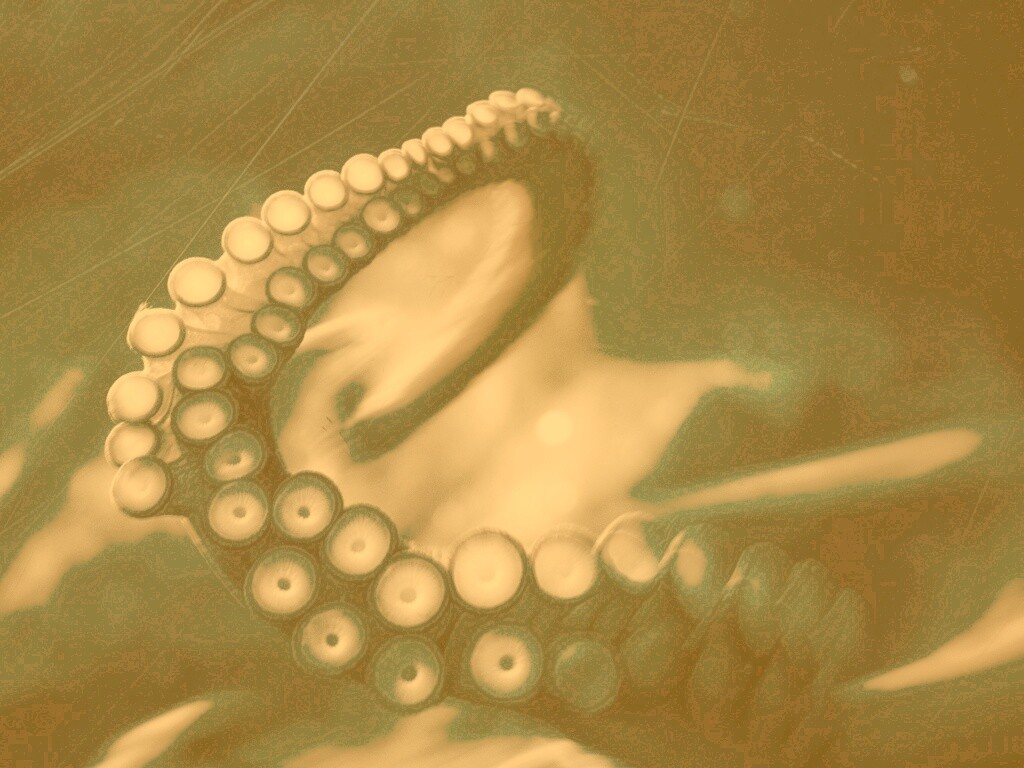 Щупальце обои