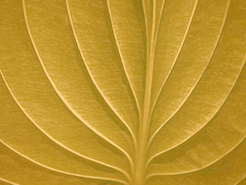 Неоновый лист обои