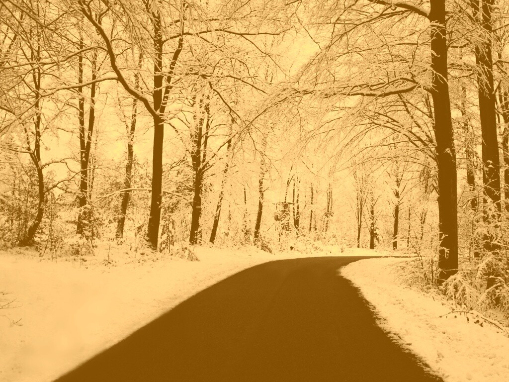 Дорога в зимнем лесу обои