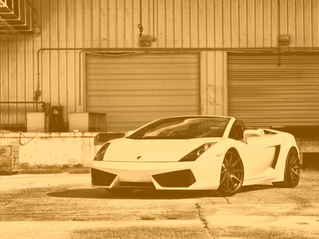Белый спорткар Ламборгини Галлардо обои