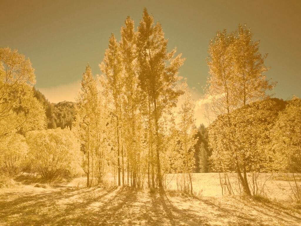 Осень в Новой Зеландии обои