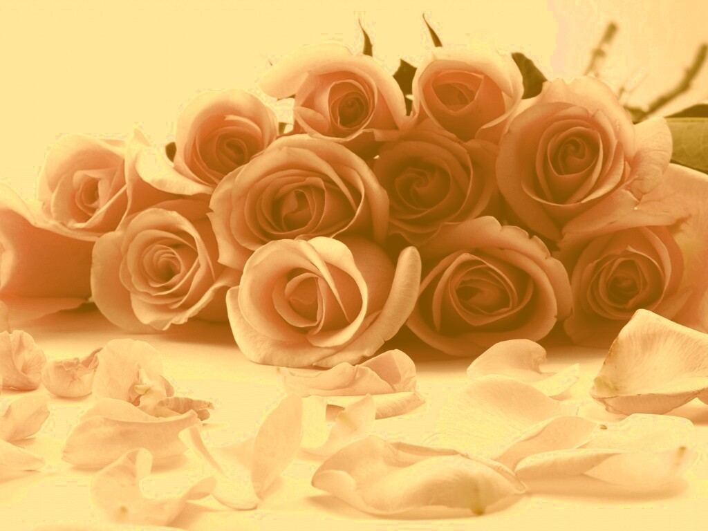 Букет роз обои