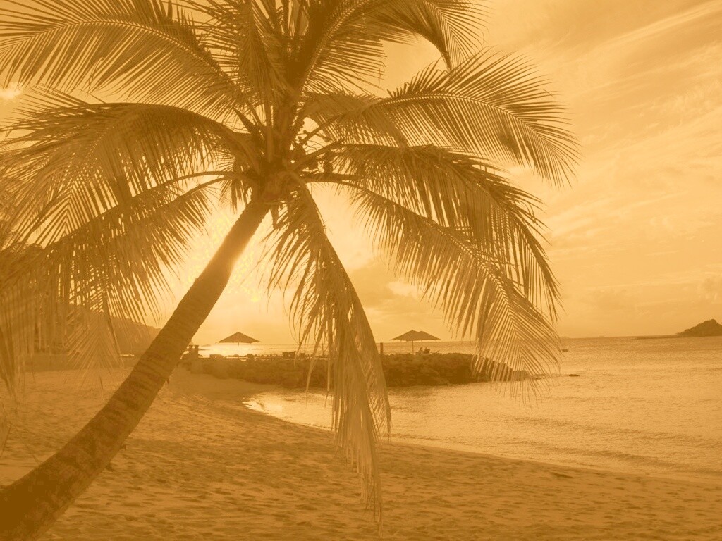 Пляж на закате обои