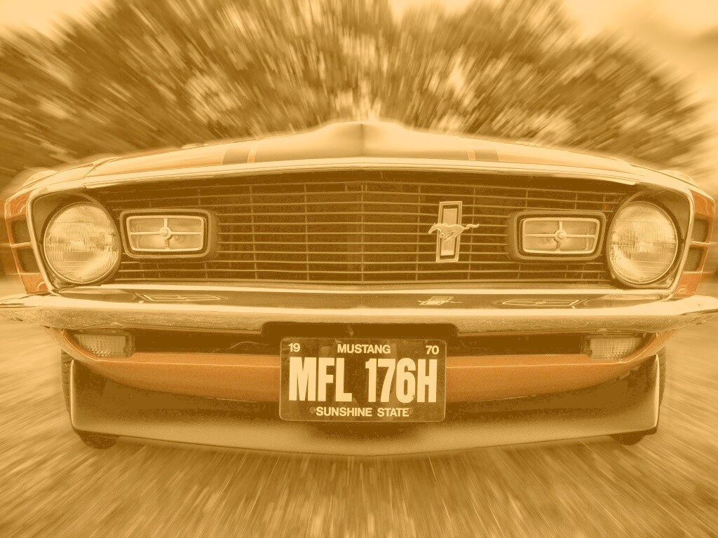 Мустанг обои