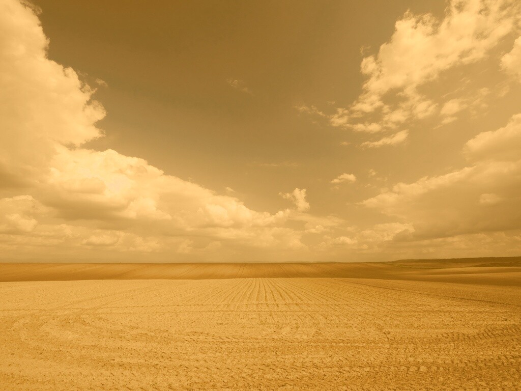 Незасеянное поле обои