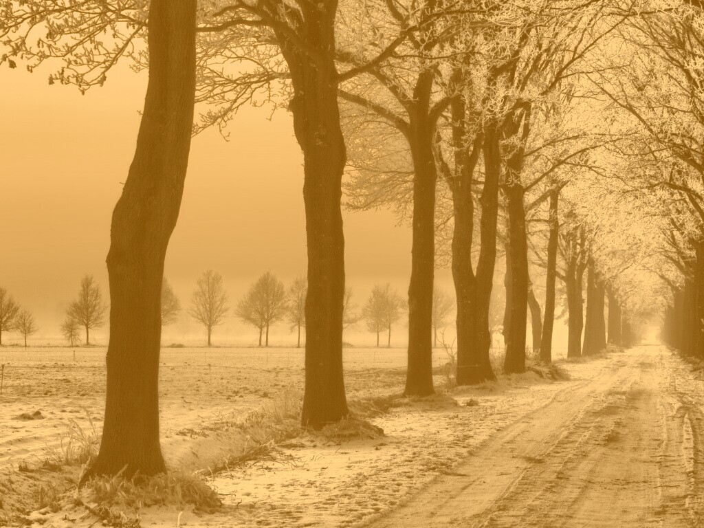 Морозное утро обои