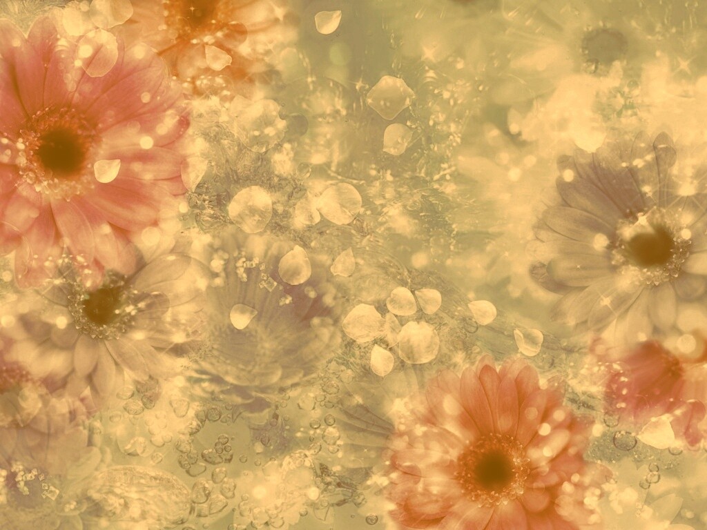 Цветочная эйфория обои