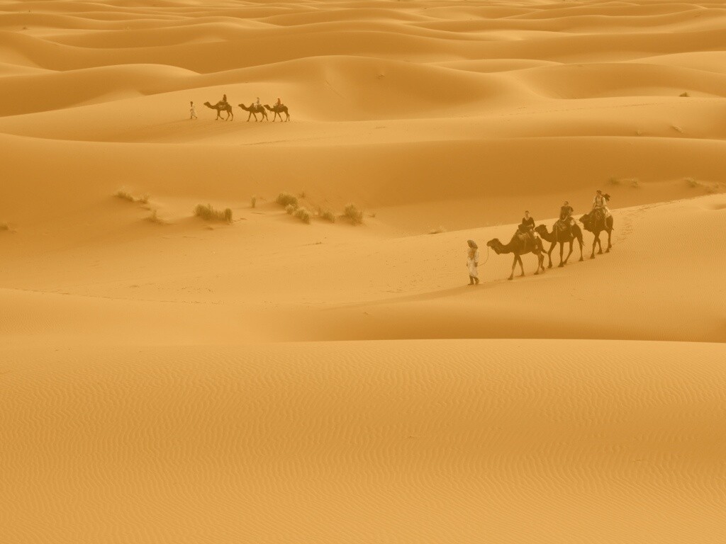 Караваны пустыни обои