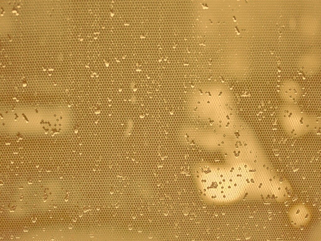 Капли нас етке обои