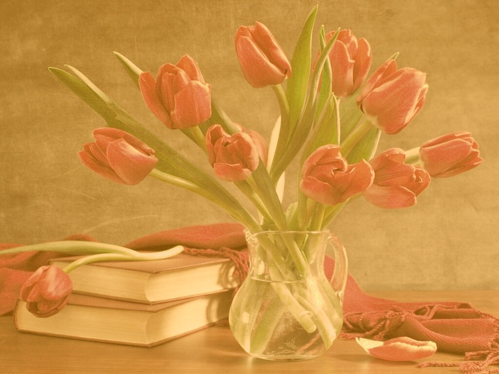 Букет красных тюльпанов обои