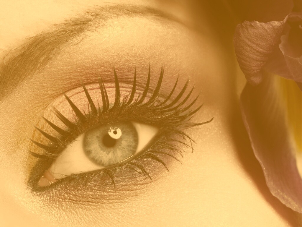 Макияж и цветок обои