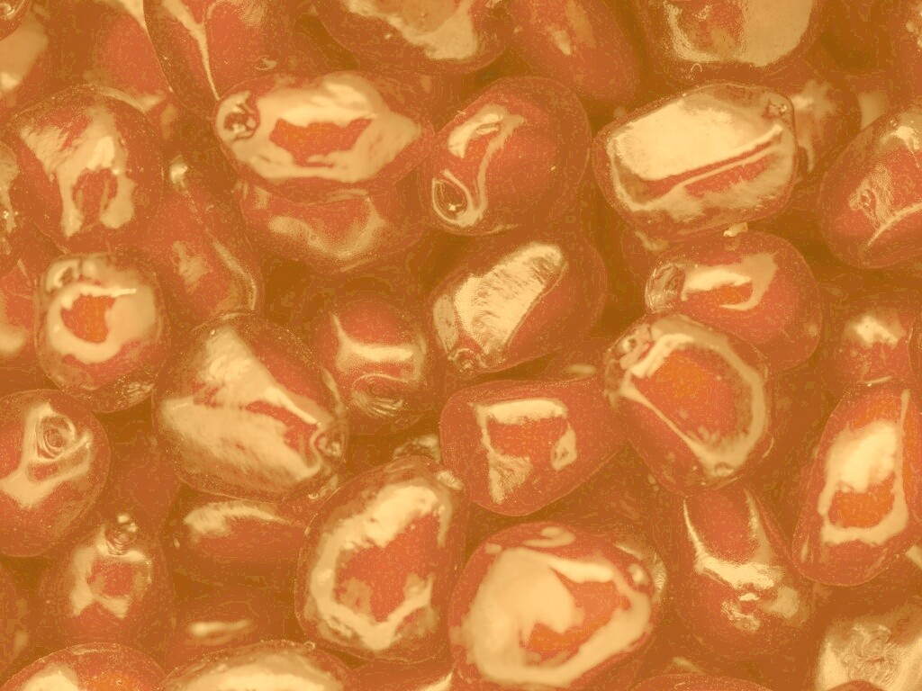 Ядра граната обои