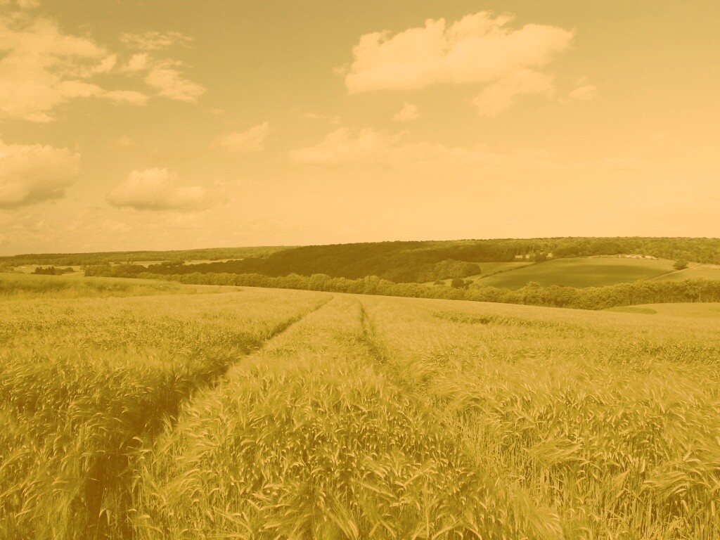 Бескрайние просторы обои