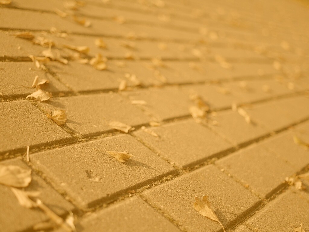 Тротуар обои