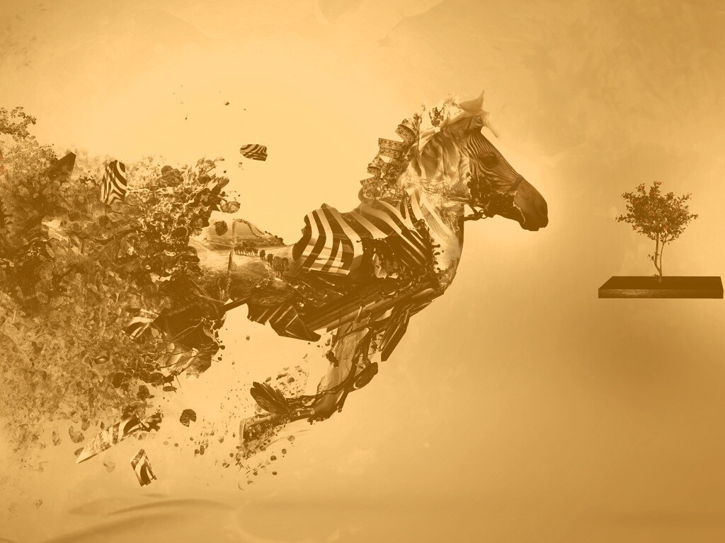 Зебра и бонсай обои