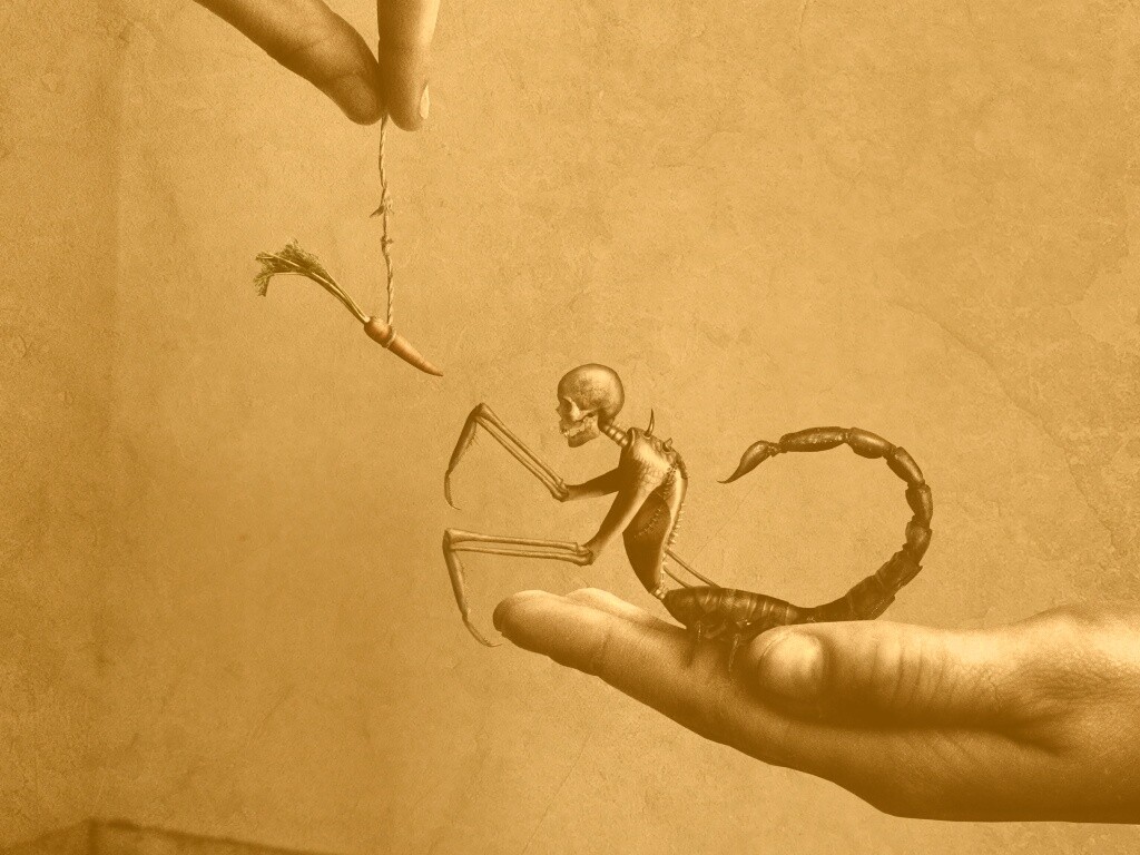 Кормёжка смерти обои