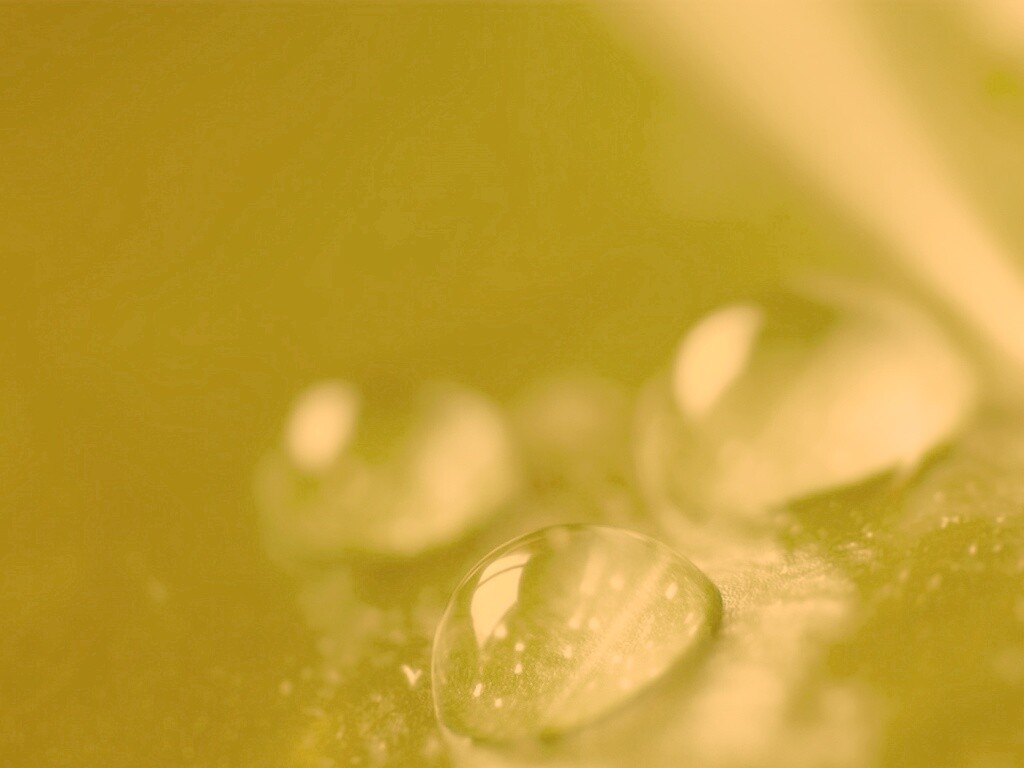 Зеленые капли росы обои