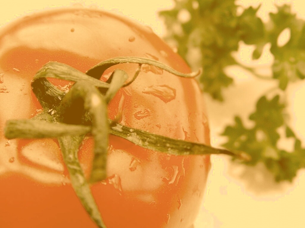 Свежая помидорка обои