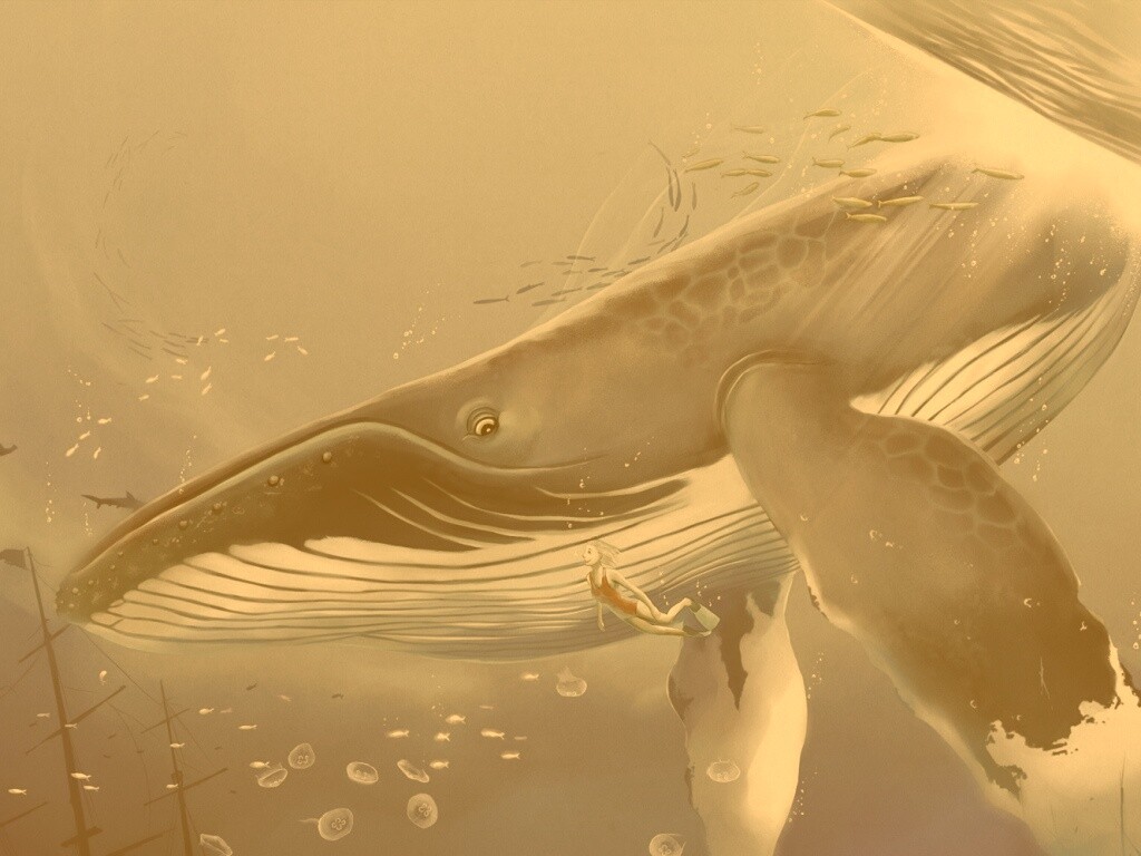 Кит и девушка обои