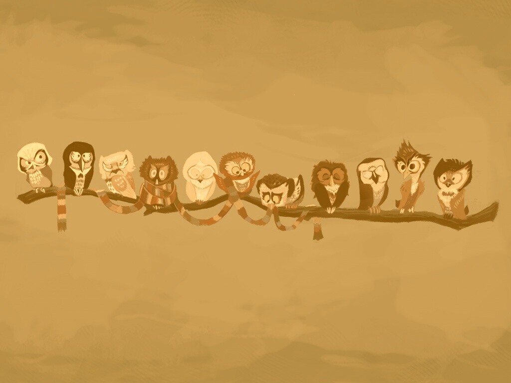 Совы на ветке обои