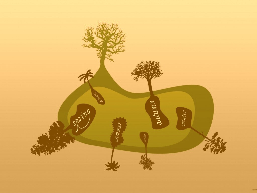 Деревья времен года обои