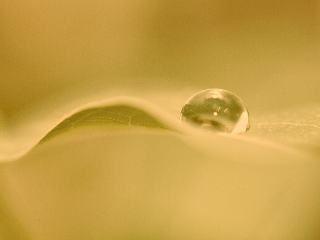 Фотография капли воды в макро обои