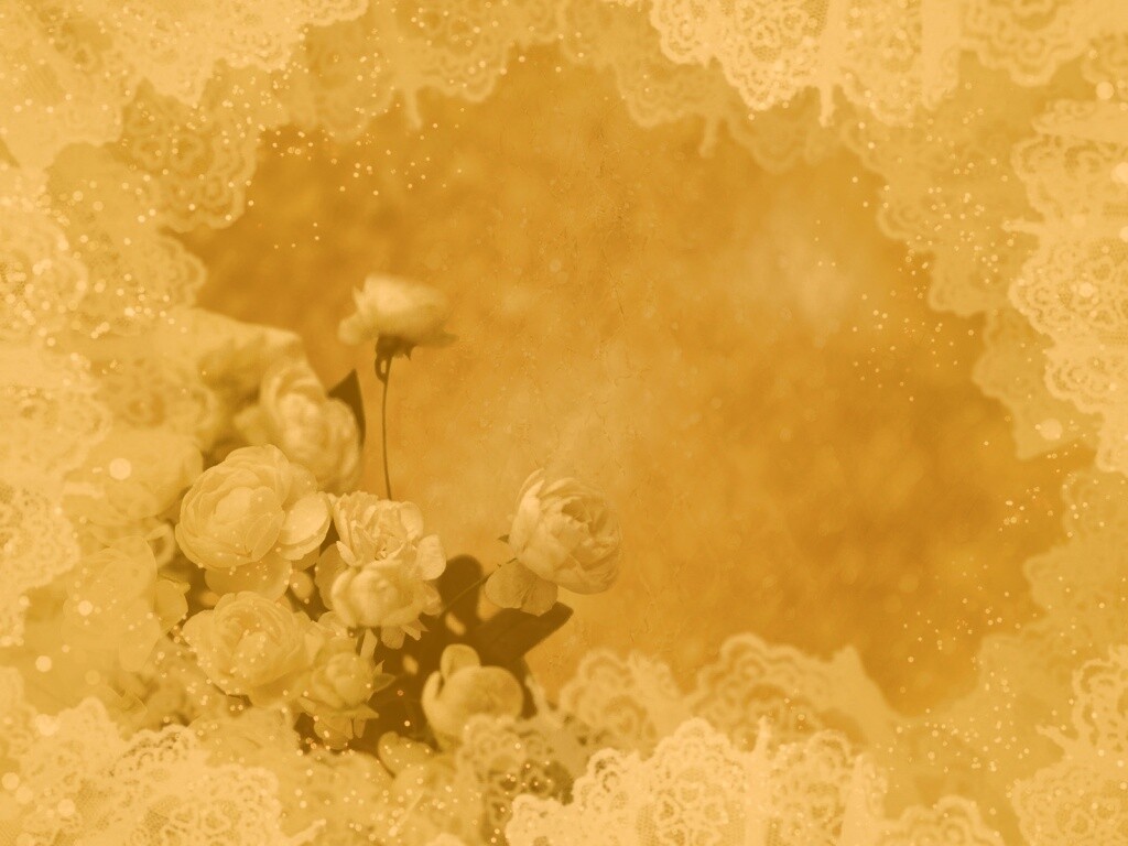 Бежевые кружева и розы обои