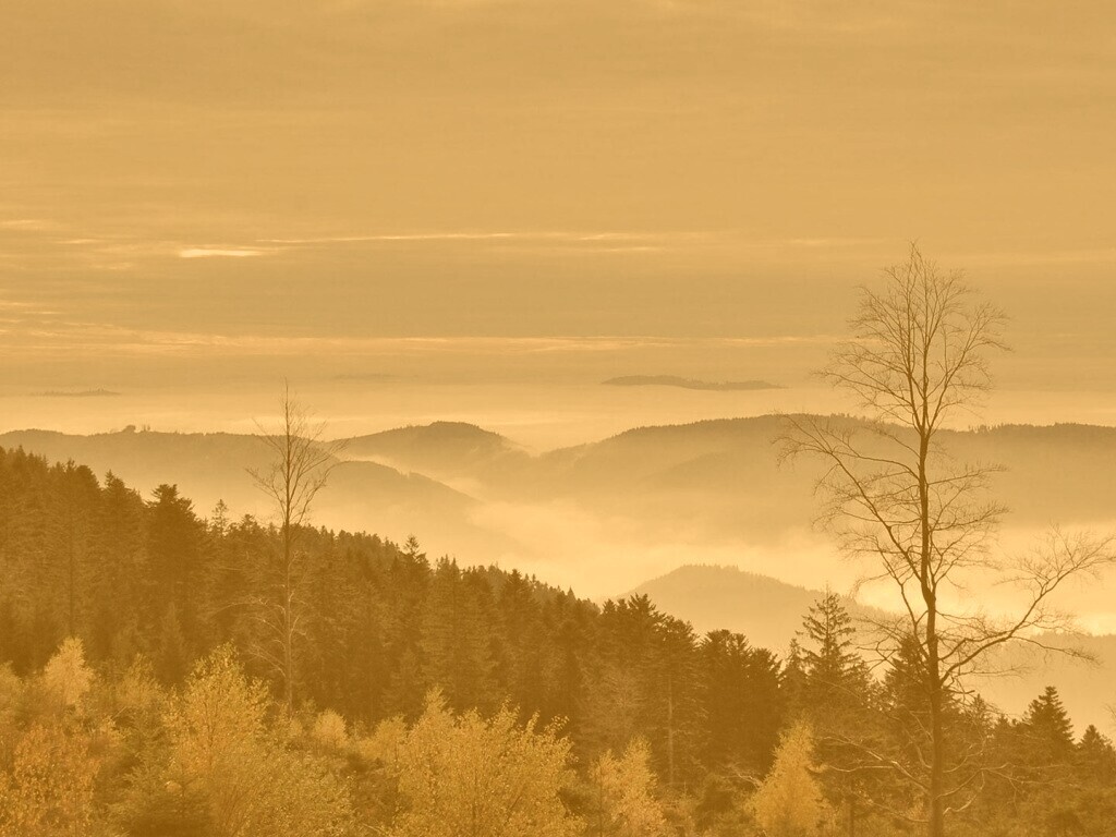 Холмы в тумане обои