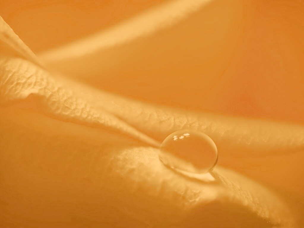 Капелька обои