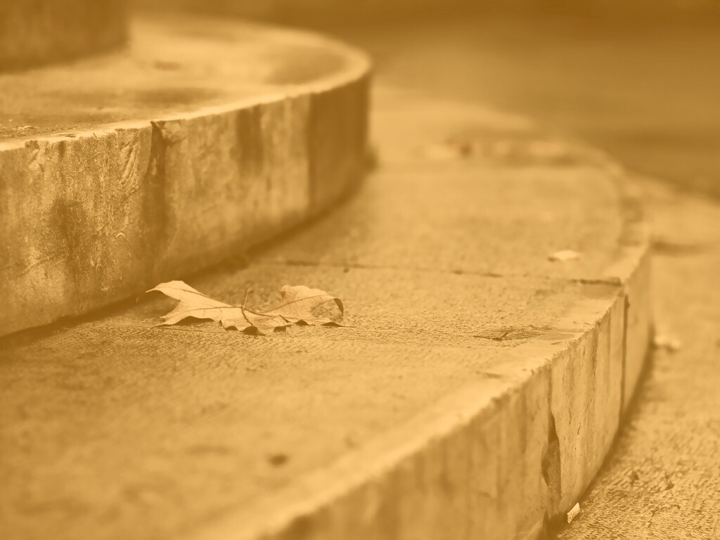 Лист на ступеньках обои