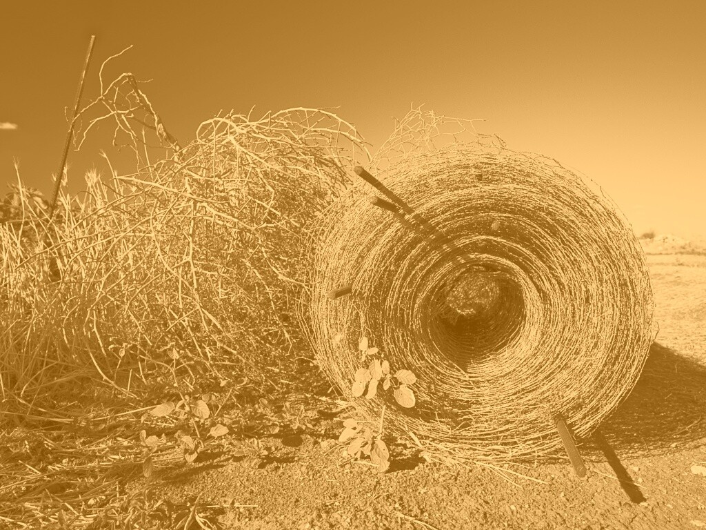 Клубок сена обои