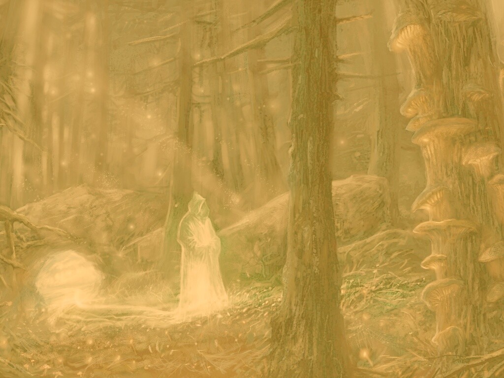 Маг света в лесу обои