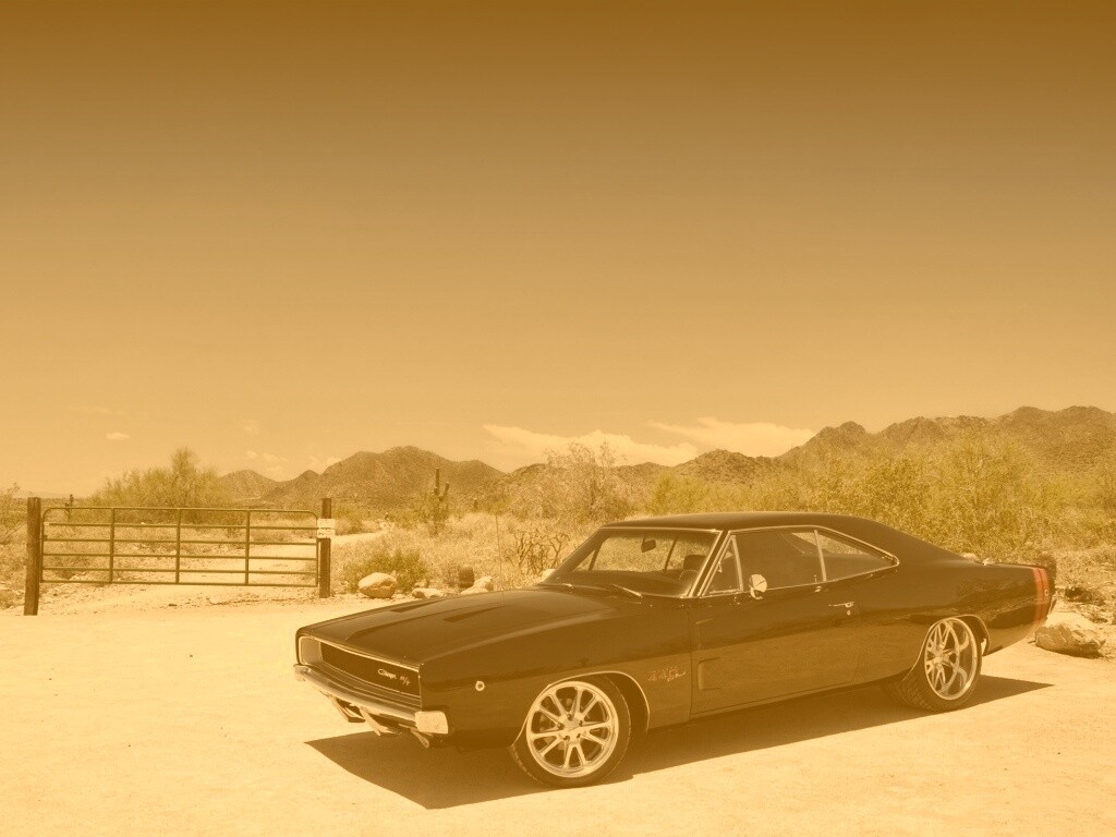 Мускулкар под палящим солнцем обои