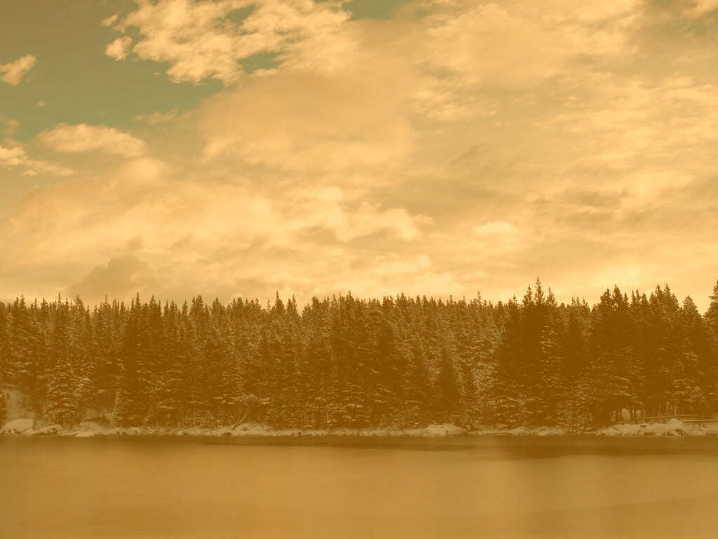 Лес на озере обои