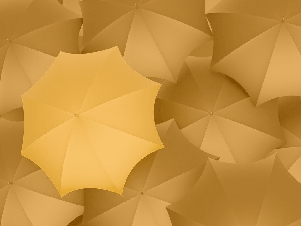 Жёлтый среди чёрных обои