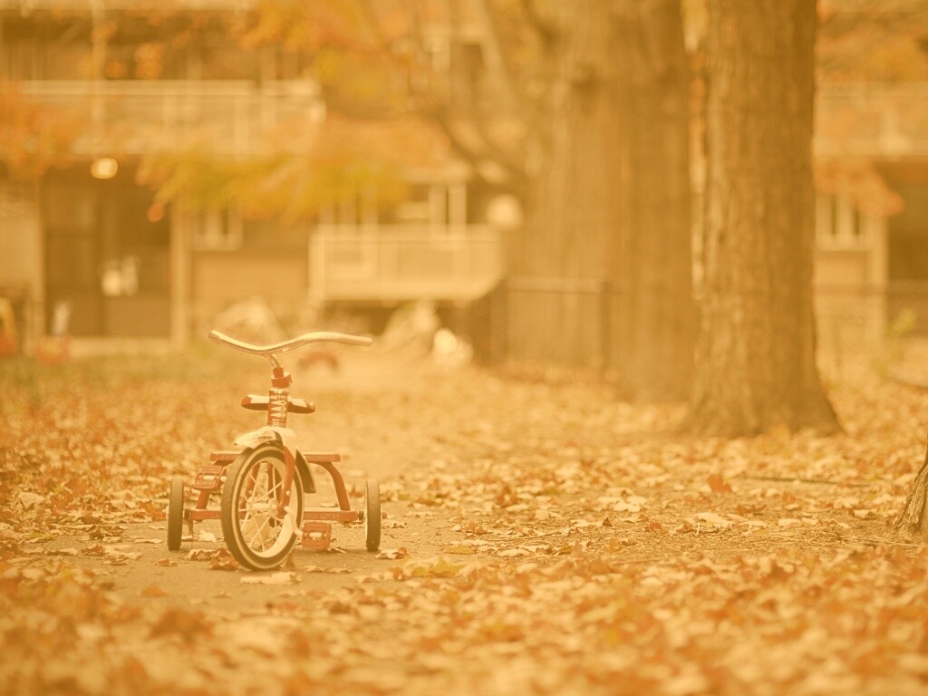 Трёхколёсный друг на осенней дорожке обои