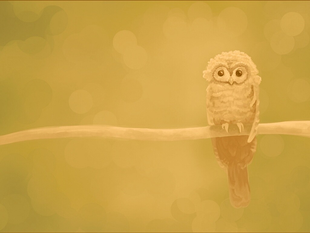 Совушка обои