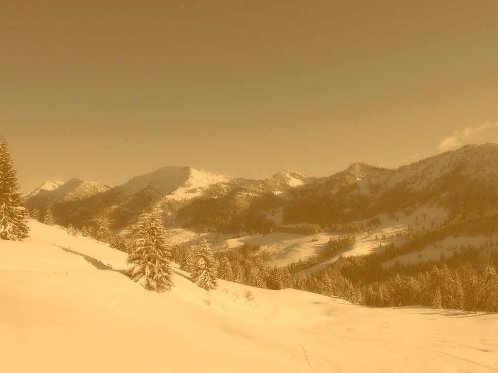 Лес в горах обои