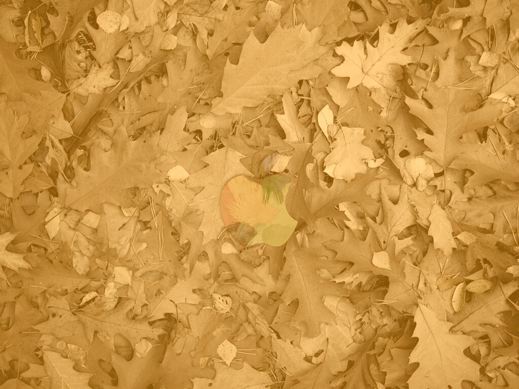 Яблоко в листьях обои