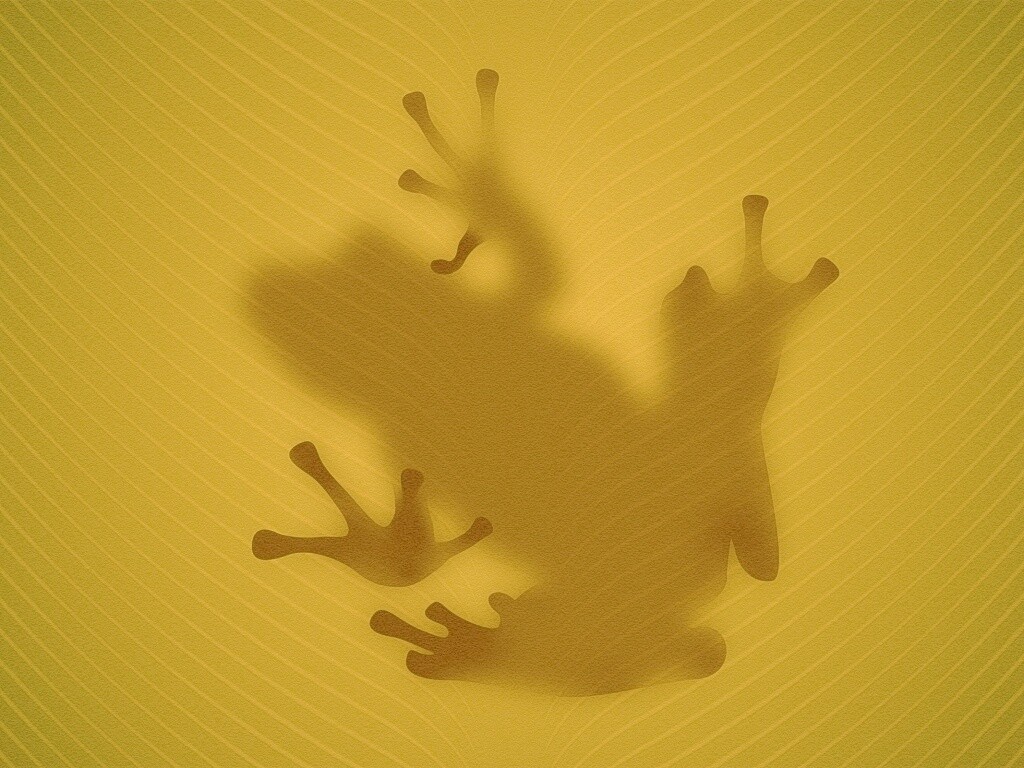 Силуэт лягушки просвечивает сквозь зеленый лист обои