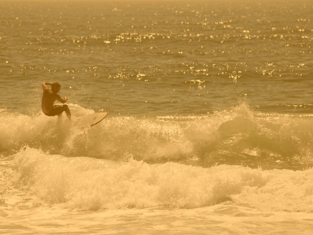 Сёрфенгист поймал волну обои