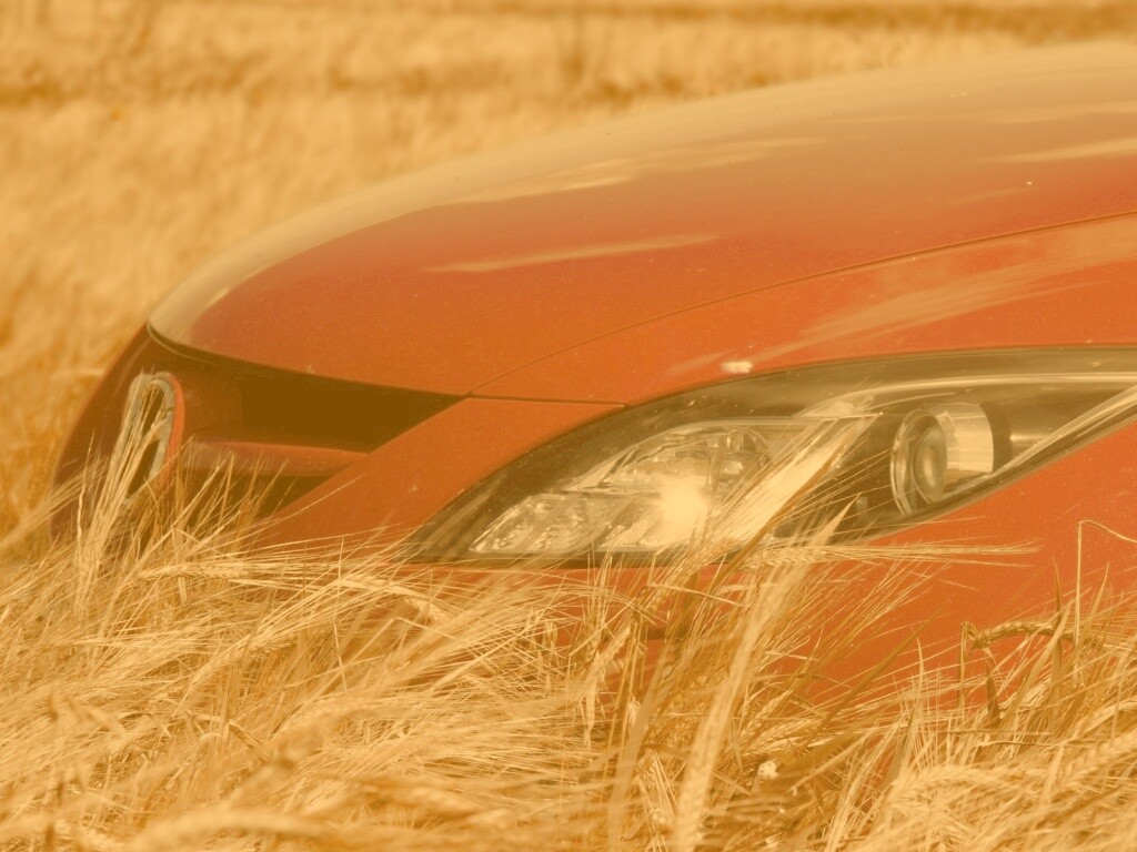 Мазда в пшенице обои