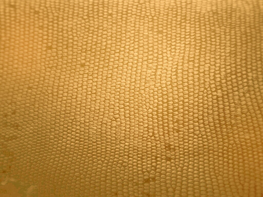 Чешуйчатые обои обои