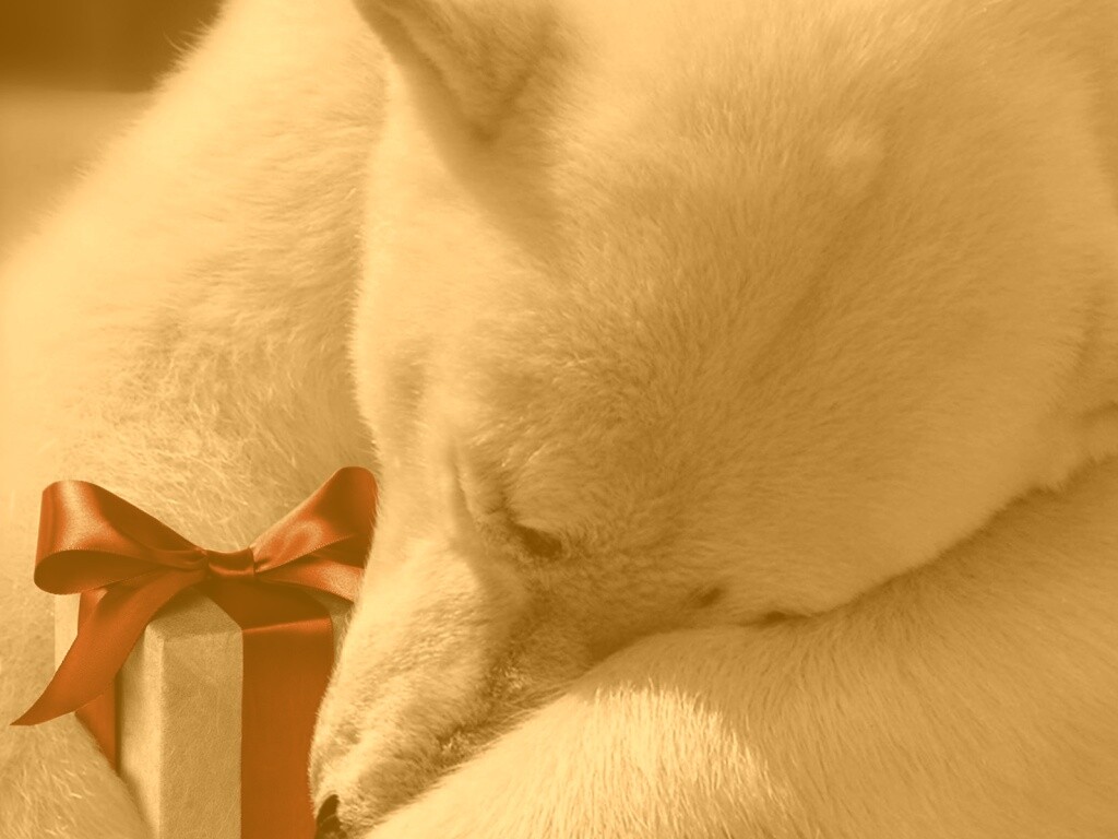 Белый мишка с подарком обои