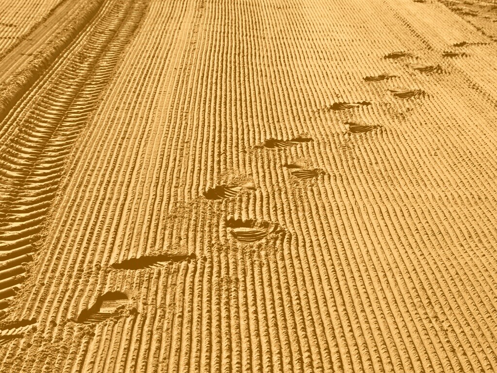 Следы на песке обои