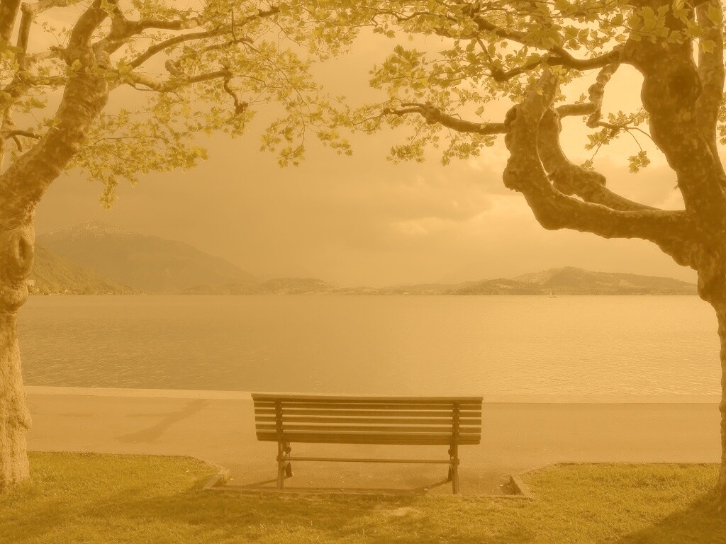 Скамейка на берегу обои